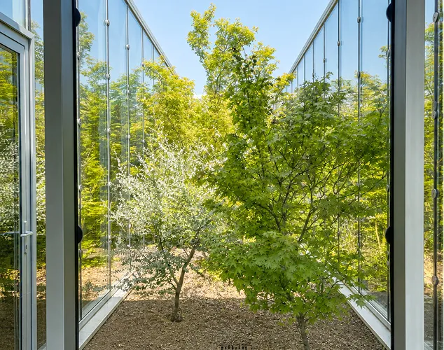 Grande baie vitrée ouvrant sur jardin arboré et nature luxuriante