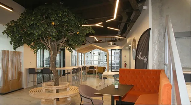 Espace moderne agence architecturale avec arbre intérieur et mobilier contemporain