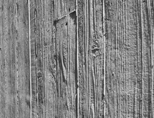 Texture bois vieilli avec fissures et motifs naturels en gros plan